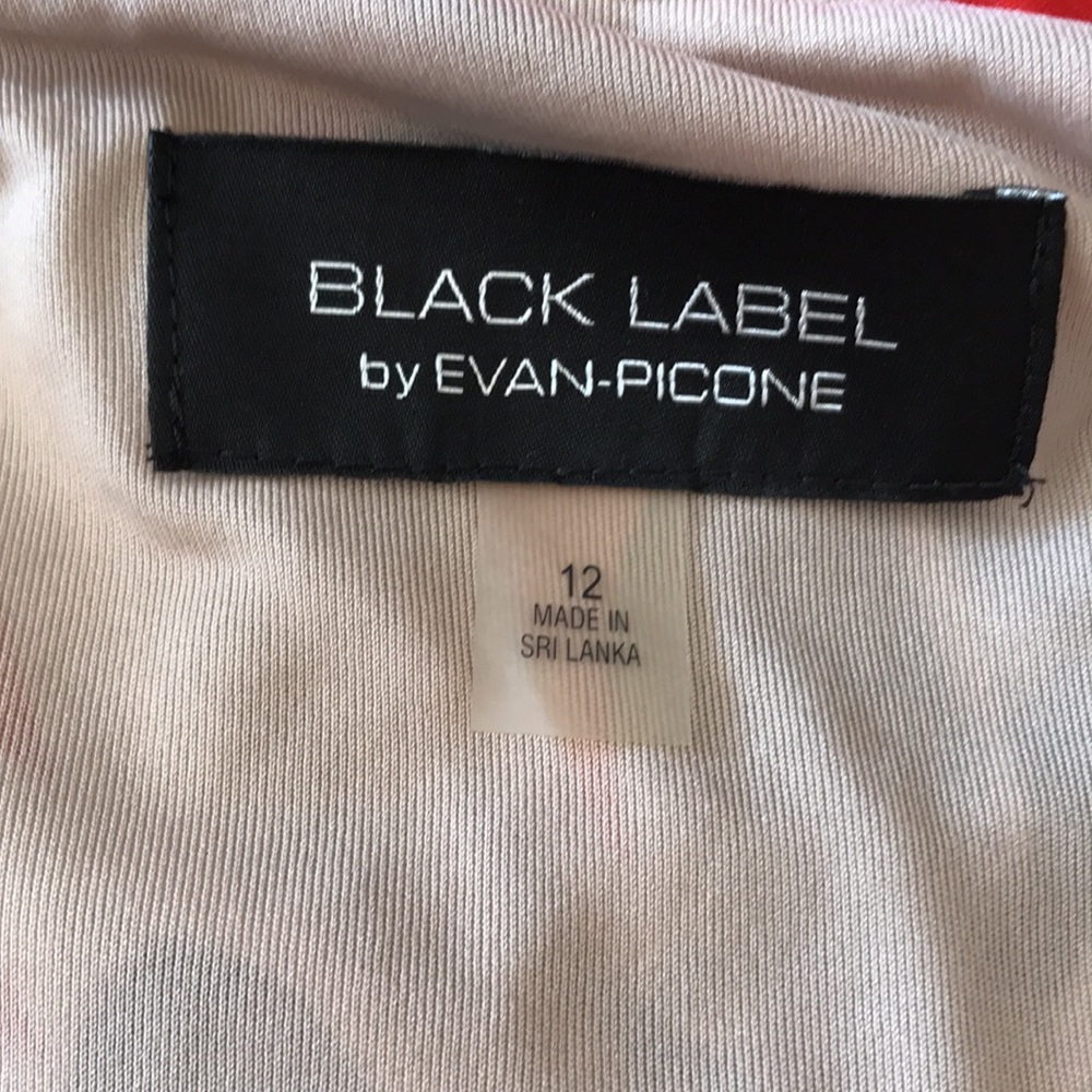 Black Label Evan-Picone dress - Picture 9 of 10